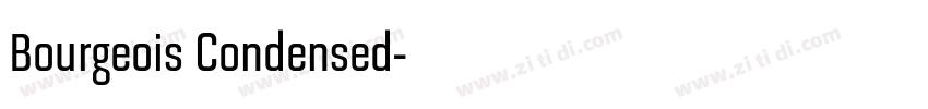 Bourgeois Condensed字体转换 Bourgeois Condensed字体转换